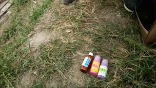 钓鲫鱼 黑坑钓鱼 钓鱼技巧