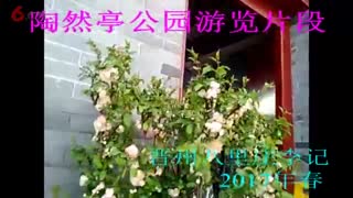 陶然亭公园游览片段