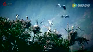 最美商洛 风光片 周扬老师配音 梵曲配音