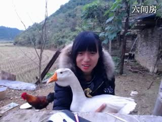 六间房秀场真人主播东方不败哪直播中