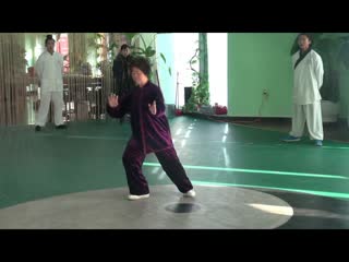 8李炳火的弟子曹圣安陈氏混元24式 包头武术健身qq群第一届群友聚会