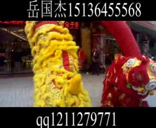 最好看的最大气的舞狮子