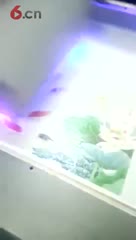 惊叹！！南京上优泽uv万能平板打印机竹木纤维板打印效果