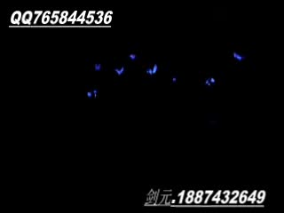 宁波手影舞诠释雄鹰的飞翔表演