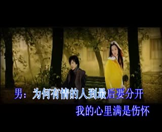 伤心的站台.mpg
