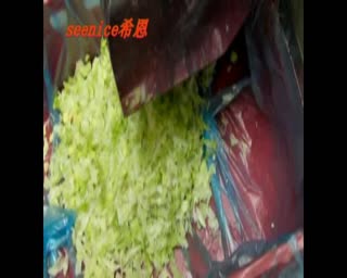 进口专业切丁机.mpg