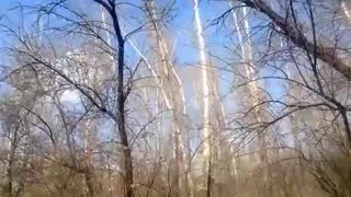战斗民族的日常，作死掏鸟窝