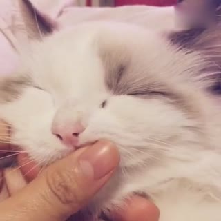 都多大了 还吃手指 羞不羞！