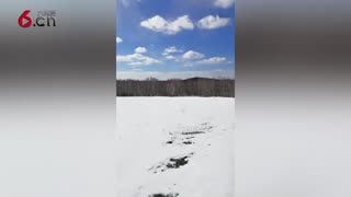 东北又下雪了哦 19.3.21