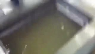 碉堡！零下35度急速冷冻鱼！
