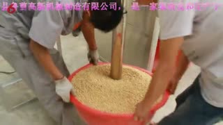 新款黄豆脱皮机黄豆去皮机黄豆脱壳机
