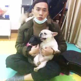 你考虑过狗的感受吗