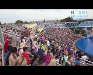 美国海洋世界Seaworld海豚表演