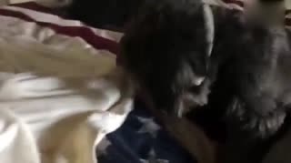 被子要盖严实