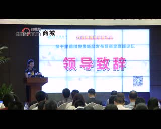 保千里成功举办“改革推动发展 创新引领格局 方案领秀未来”商显主题高峰论坛