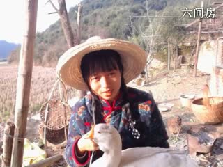 六间房美女主播东方不败哪直播视频