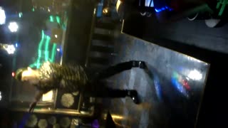 艺点娱乐 (学员实习酒吧演出视频)职业歌手培训 