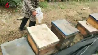 好多蜂蜜哦 18.9.21