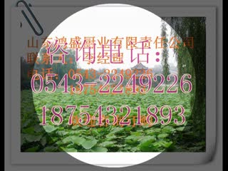 【视频】专供【大型馒头蒸房】，不锈钢食品蒸房厂家