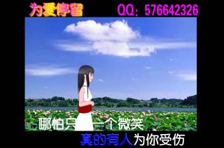 为爱停留 