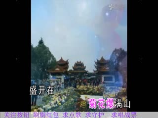 菊花爆满山-紫薇-演唱