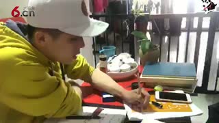 狗狗洗澡美容理论课 18.3.14