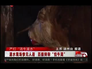 活牛注水现场惨无人道 百般辩称“怕牛渴”