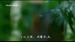 神改编中国风版《Let it go》 洋歌瞬间被汉化