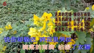 最新网络伤感歌曲【梨花烟雨泪】_网络情歌MV歌曲