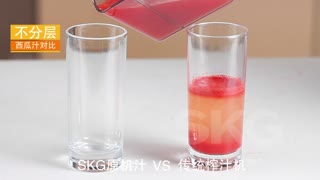 SKG原汁机