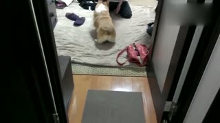 翘臀摇起来