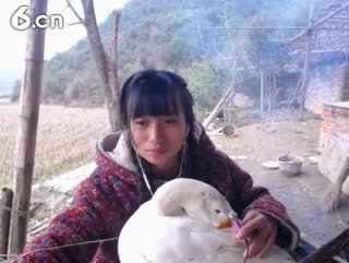 六间房热门主播东方不败哪