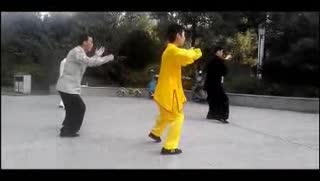 陈氏小架太极拳 陈式太极拳