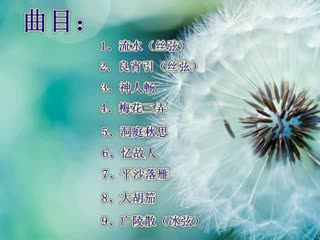陈成渤：与先贤对话，重焕浙琴