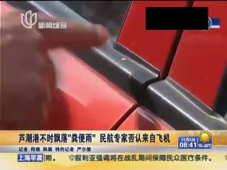 上海频降粪便雨 民航专家否认来自飞机