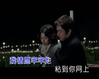 网络最火情歌《爱情网》