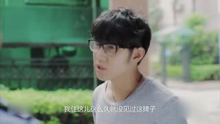 遛狗有心，虐狗无意