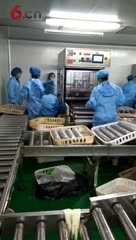 香菇木耳固体液体全自动接种机