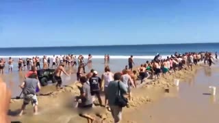 美国海滩3米长大白鲨搁浅 游客“接力”援救