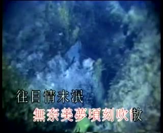 天才白痴往日情.mpg