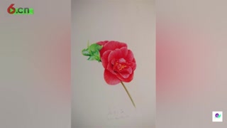 写实中富有活力，庄桂庆作品欣赏