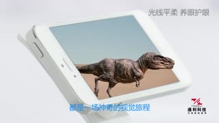 通利裸眼3D飞膜，土豪新年送礼有面子！