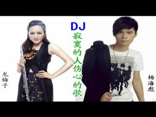 杨海彪vs龙梅子【寂寞的人伤心的歌.嗨版】DJ阿岳Mix