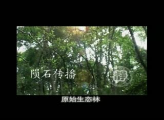 5碧露