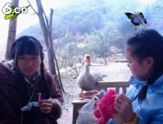 六间房美女主播东方不败娜秀场直播