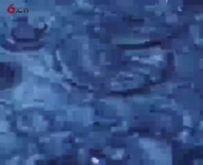 2019北京春晚 杜江 霍思燕 亲亲我的宝贝 伴奏
