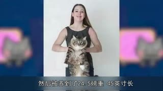 超乎想象的巨无霸：世界最大动物集锦