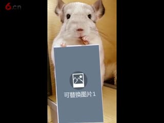 小视频还能自己DIY恶搞？666（微大圣）