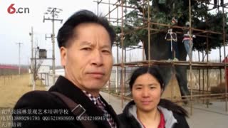 水泥雕塑假树--袁洪亮景观艺术培训学校制片