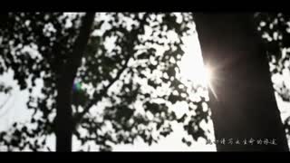 祁隆 - 爱的音符